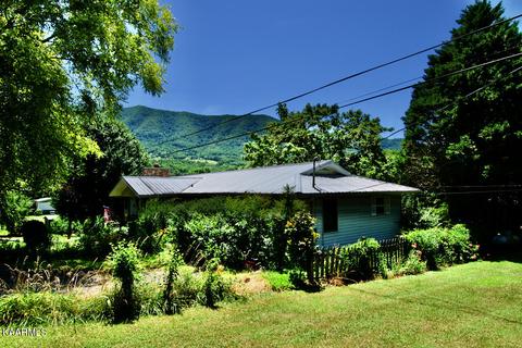 924 Cavern Rd, Townsend, TN 37882 photo 3