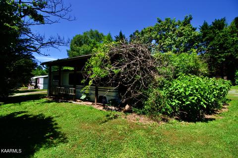 924 Cavern Rd, Townsend, TN 37882 photo 33