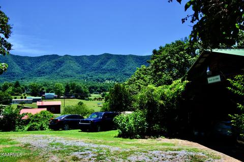 924 Cavern Rd, Townsend, TN 37882 photo 22
