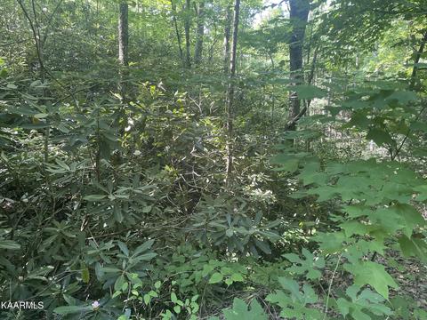 Lot 67 Sycamore St, Sevierville, TN 37876