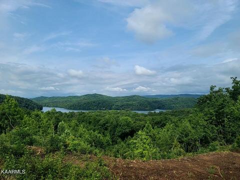 21 Ridgeline Drive, Rockwood, TN 37854