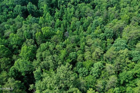 140 Collins Gap Rd, Heiskell, TN 37754 photo 19