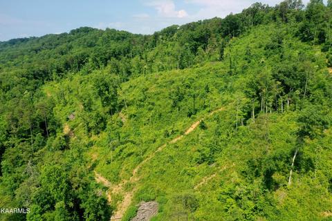 140 Collins Gap Rd, Heiskell, TN 37754 photo 20