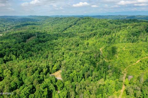 140 Collins Gap Rd, Heiskell, TN 37754 photo 25