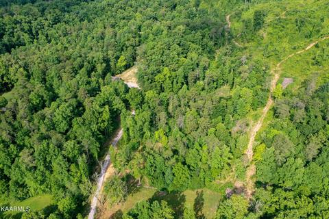 140 Collins Gap Rd, Heiskell, TN 37754 photo 24