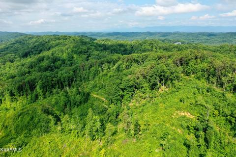 140 Collins Gap Rd, Heiskell, TN 37754 photo 22