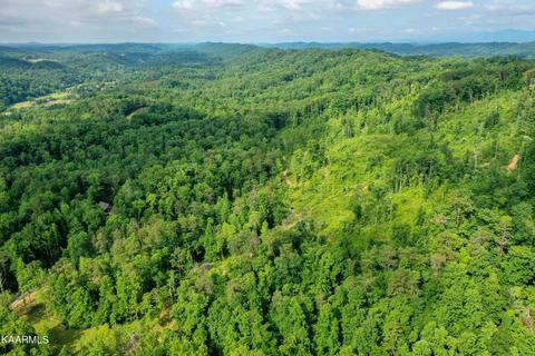 140 Collins Gap Rd, Heiskell, TN 37754 photo 26