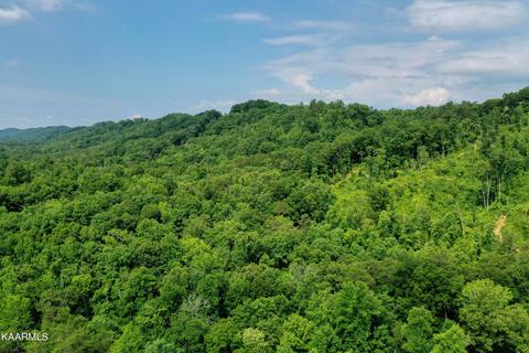 140 Collins Gap Rd, Heiskell, TN 37754 photo 18