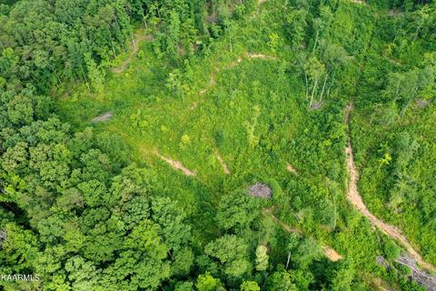 140 Collins Gap Rd, Heiskell, TN 37754 photo 23