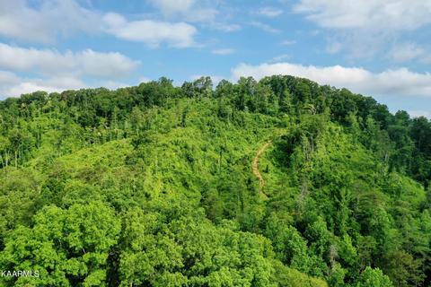 140 Collins Gap Rd, Heiskell, TN 37754 photo 27