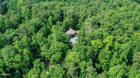 140 Collins Gap Rd, Heiskell, TN 37754 photo 16