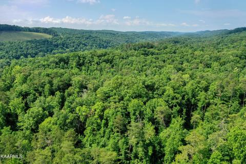 140 Collins Gap Rd, Heiskell, TN 37754 photo 21
