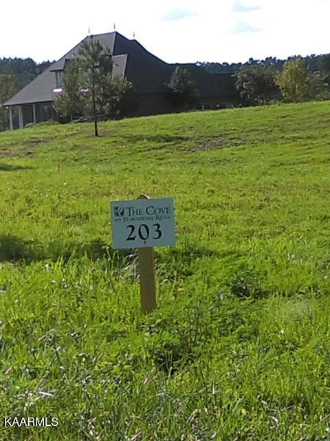 Blackberry Falls Drive, Loudon, TN 37774