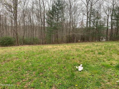 131 Rich Rd, Lancing, TN 37770 photo 35