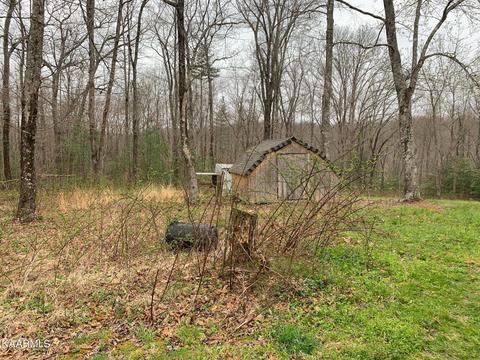 131 Rich Rd, Lancing, TN 37770 photo 32