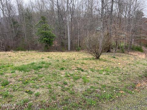131 Rich Rd, Lancing, TN 37770 photo 29