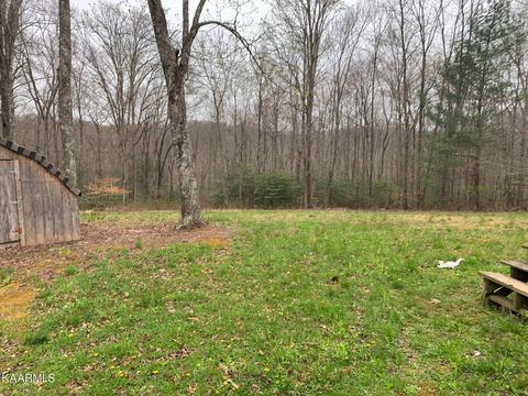 131 Rich Rd, Lancing, TN 37770 photo 38