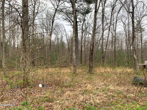 131 Rich Rd, Lancing, TN 37770 photo 34