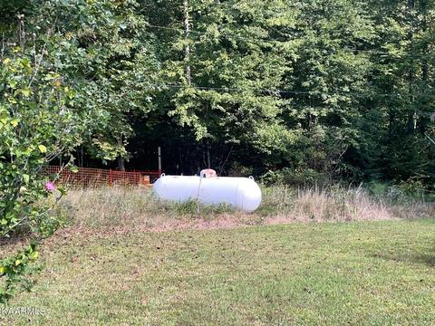 131 Rich Rd, Lancing, TN 37770 photo 42