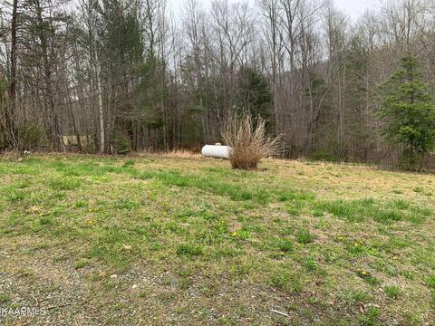 131 Rich Rd, Lancing, TN 37770 photo 33
