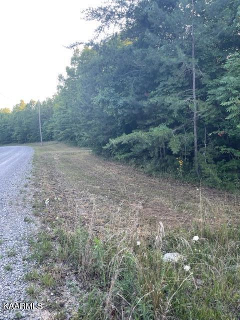 311 Big Piney Loop Loop, Wilder, TN 38589 photo 1