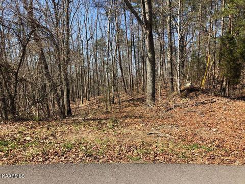 Skyline Lane, Powell, TN 37849
