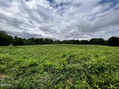 lot133 Cinnabar Dr, New Tazewell, TN 37825