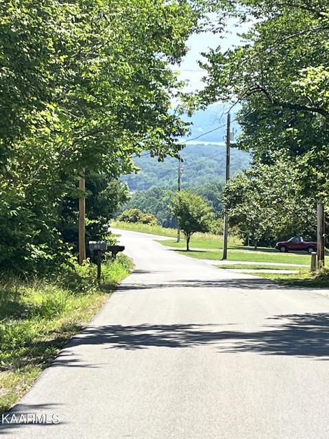 Clint Williams Rd, Rutledge, TN 37861