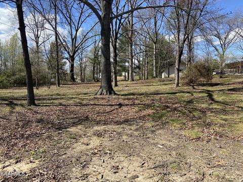 611 Amerine Rd, Maryville, TN 37804