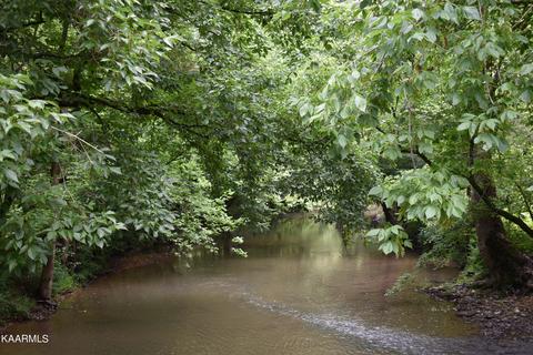 126 Blakemore Mill Rd, Ewing, VA 24248 photo 8