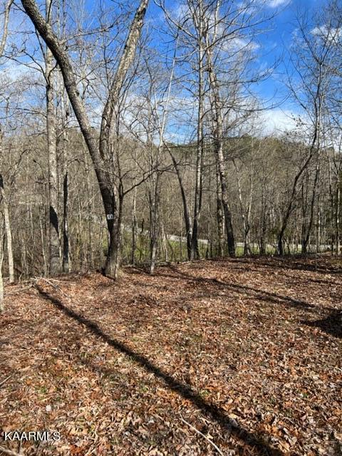 Crosswinds Rd, Ten Mile, TN 37880