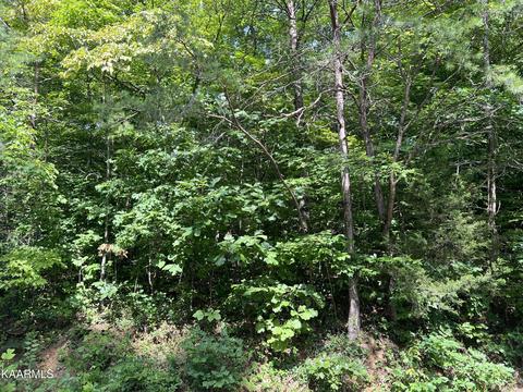 Jim Lee Ridge Rd, La Follette, TN 37766