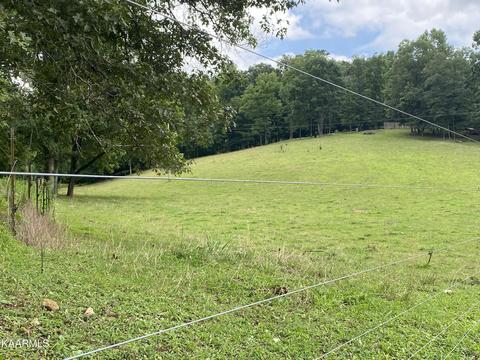 1625 Machine Branch Rd, Ewing, VA 24248 photo 57