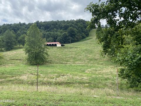 1625 Machine Branch Rd, Ewing, VA 24248 photo 37