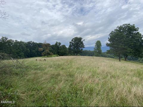 1625 Machine Branch Rd, Ewing, VA 24248 photo 47