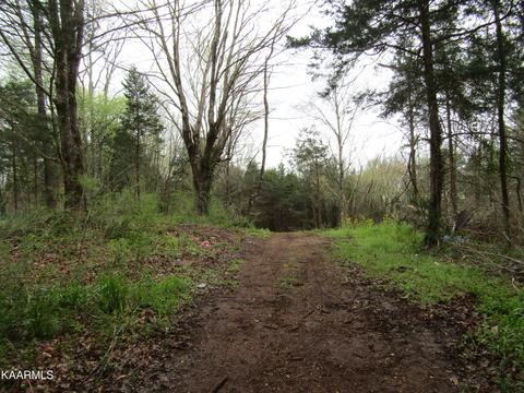 6 31 Officer Dr, Sparta, TN 38583