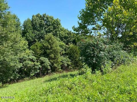 lot255 Marble Point Way, New Tazewell, TN 37825