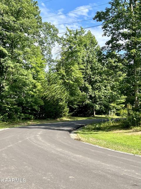 210 Hayden Ln, Grimsley, TN 38565 photo 2