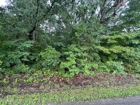 Coal Bank Rd, Sparta, TN 38583