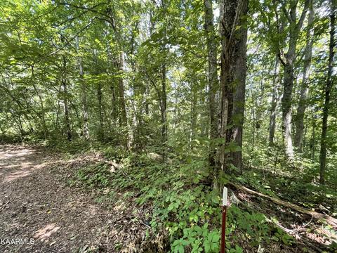 15-1719 20 Michael Way, Newport, TN 37821