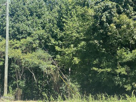 Big Springs Rd, Maryville, TN 37801
