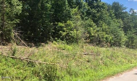 Peanut Lane, Tazewell, TN 37879