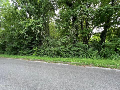 Orchard Knob Rd, Clinton, TN 37716