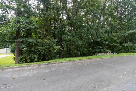 109 Wolf Trace Ln, Heiskell, TN 37754 photo 39
