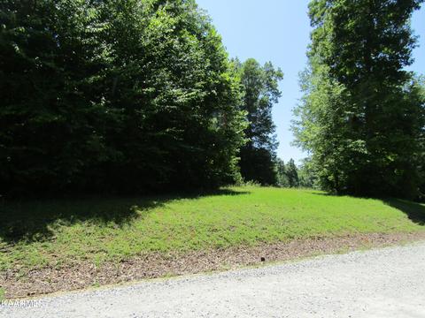 30 White Creek Court, Deer Lodge, TN 37726