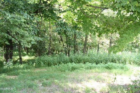 Deer Chase Trail, Dandridge, TN 37725