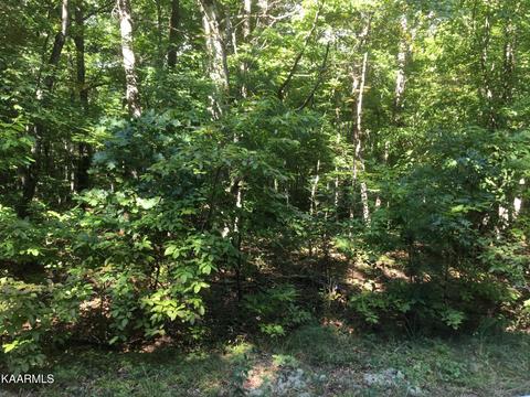 24 Lloyd Ct, Crossville, TN 38555