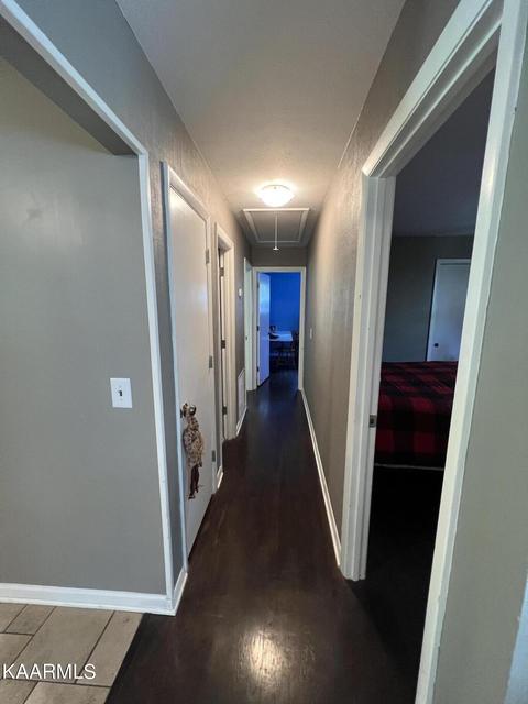 111 Maple Tree Ln, Powell, TN 37849 photo 28