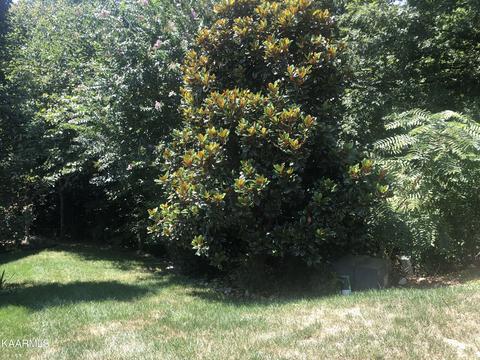 127 Chuniloti Trce, Loudon, TN 37774