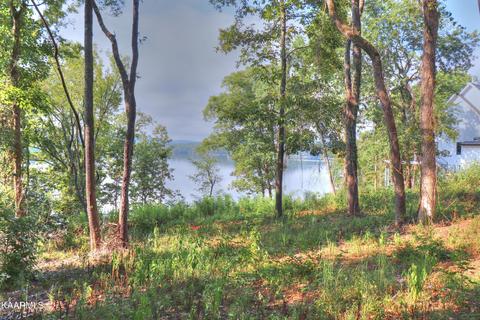 176 East Shore Drive, Rockwood, TN 37854